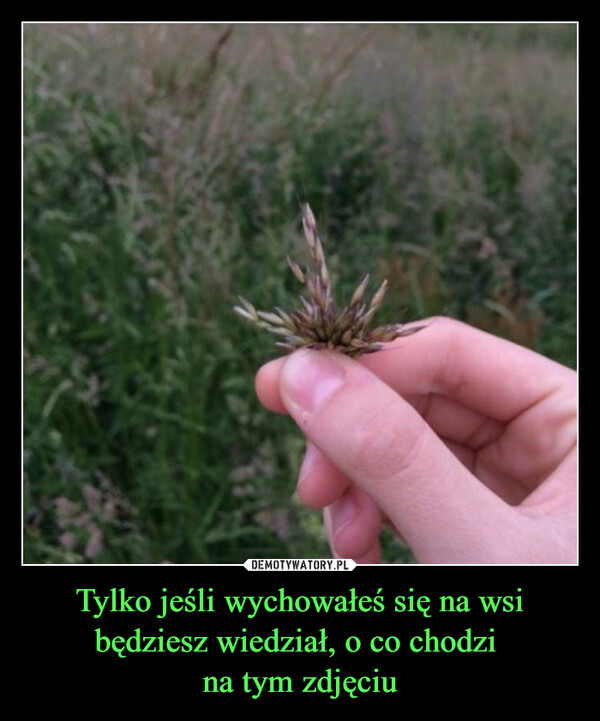 Tylko jeśli wychowałeś się na wsi będziesz wiedział, o co chodzi na tym zdjęciu –  